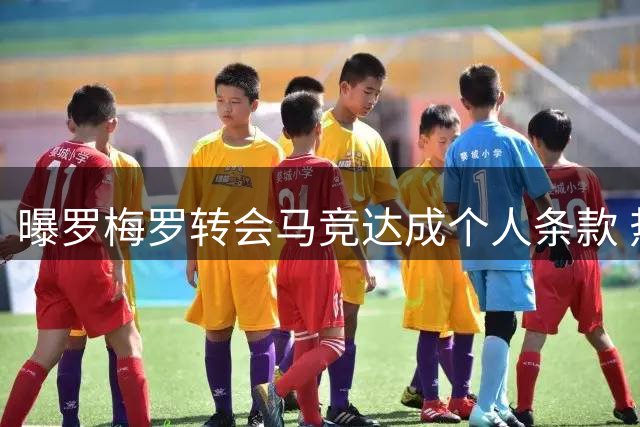 曝罗梅罗转会马竞达成个人条款 热刺标价4000万欧